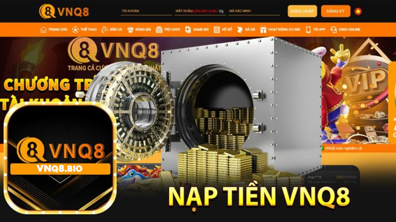 Các phương thức nạp tiền phổ biến tại VNQ8