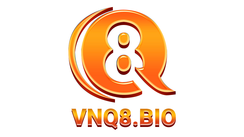 Đôi nét về nhà cái VNQ8
